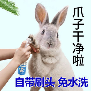 兔子洗脚去黄干洗泡泡洗澡神器免水洗宠物洁足泡沫去尿渍黄毛除臭