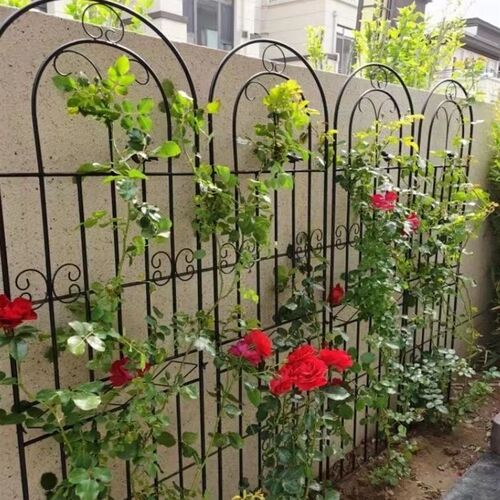 铁艺花架爬藤架花园月季花支架铁线莲绿萝植物攀爬架户外庭院网格
