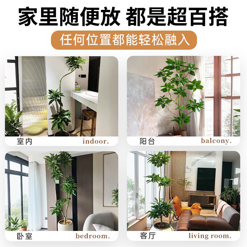造型平安树客厅盆栽绿植办公室内大型真树好养植物幸福树四季常青