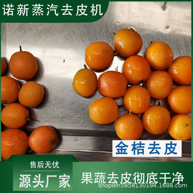 蒸汽去皮机金桔珍珠土豆红薯