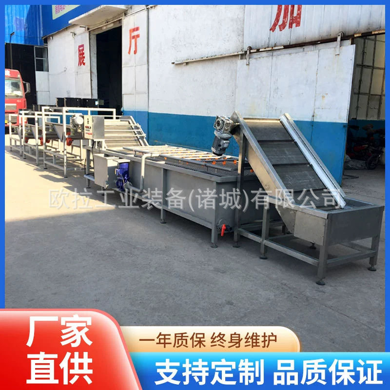 全自动不锈钢海鲜樱桃清洗机