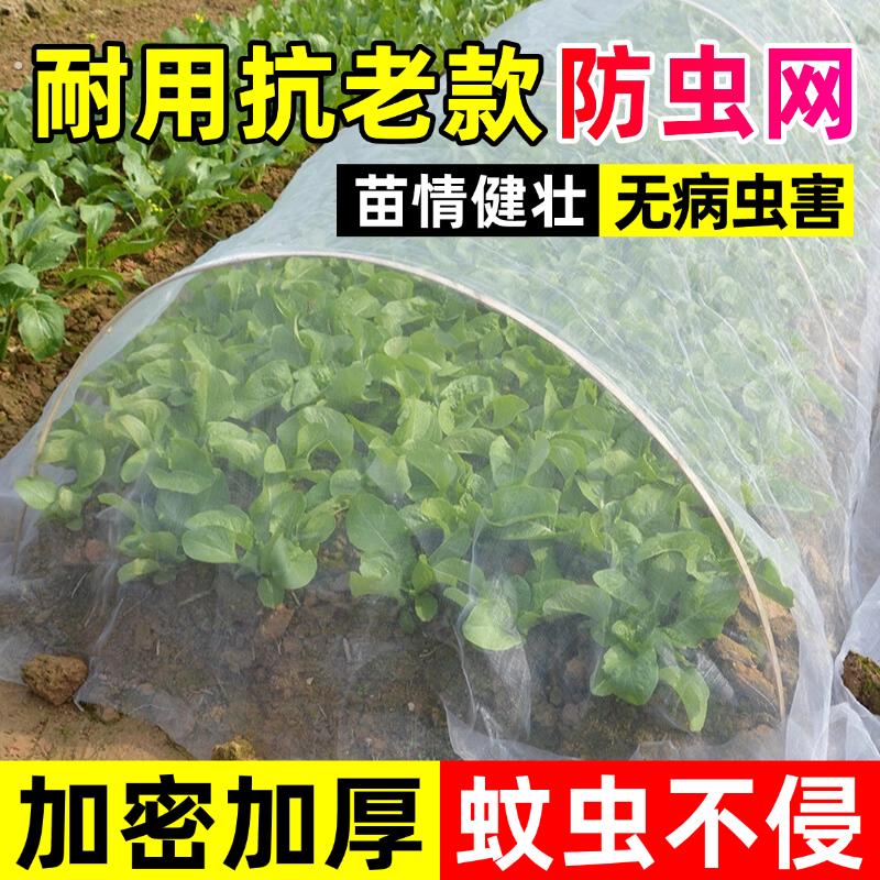 室外防蚊纱网防柳絮封院子纱网隔离网罩树叶天井防虫网养殖场防护