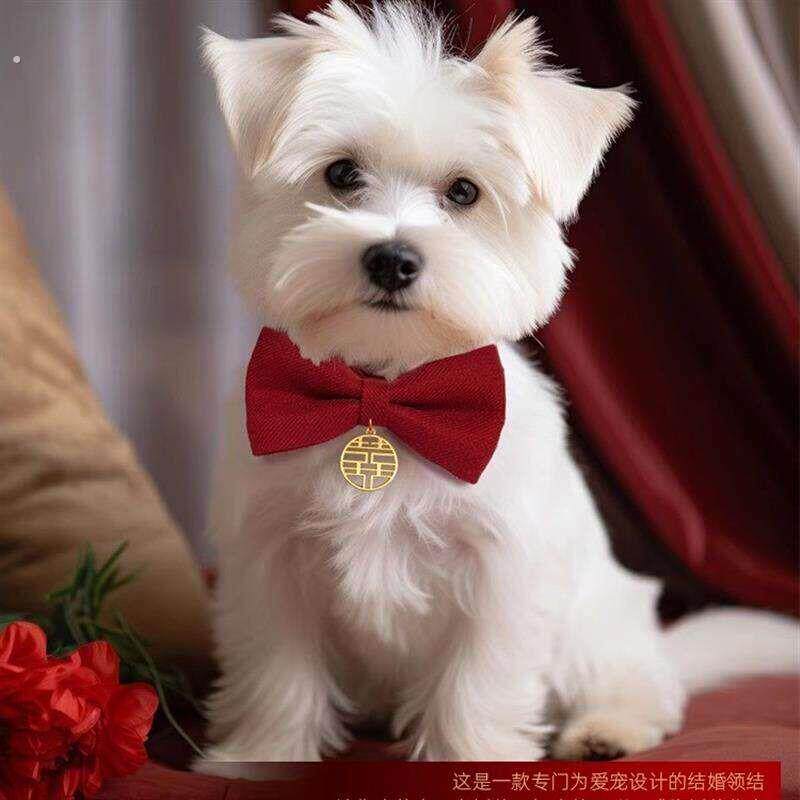 狗狗领结红色喜字衣服小猫咪结婚装饰围脖大狗宠物婚礼蝴蝶结项圈