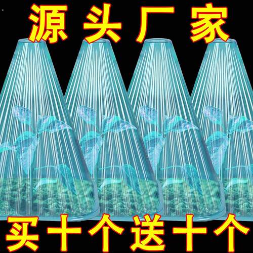 温室重复使用防风方形植物钟罩大棚免受鸟类霜冻伤害育苗保护绿色
