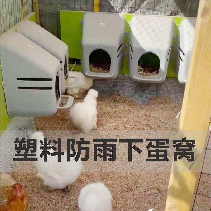 鸡窝下蛋窝防雨塑料简易小房子别墅家用室外散养土母鸡生蛋引蛋箱