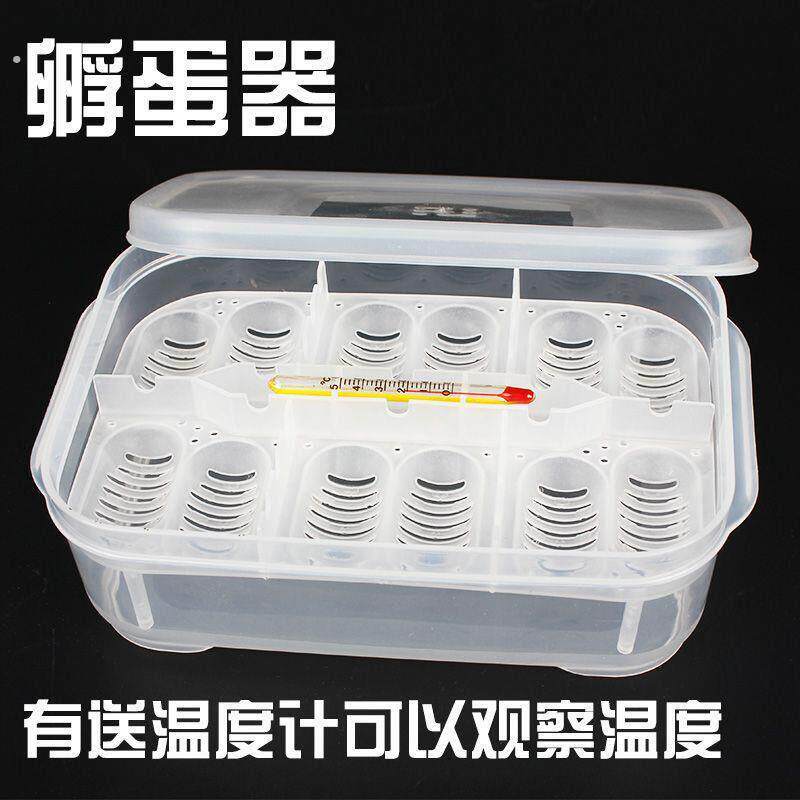 乌龟蛋孵化盒孵化器水龟蛋蜥蜴蛋蛇蛋鸟蛋孵化箱繁殖产蛋盒