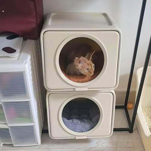 猫咪躲避屋上下两层猫窝封闭式太空舱猫别墅不占地方小狗新型狗窝