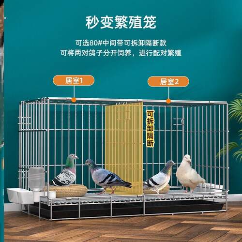 鸽子笼养殖笼大室外二层鸟笼大全大空间鸽子笼子特专科用