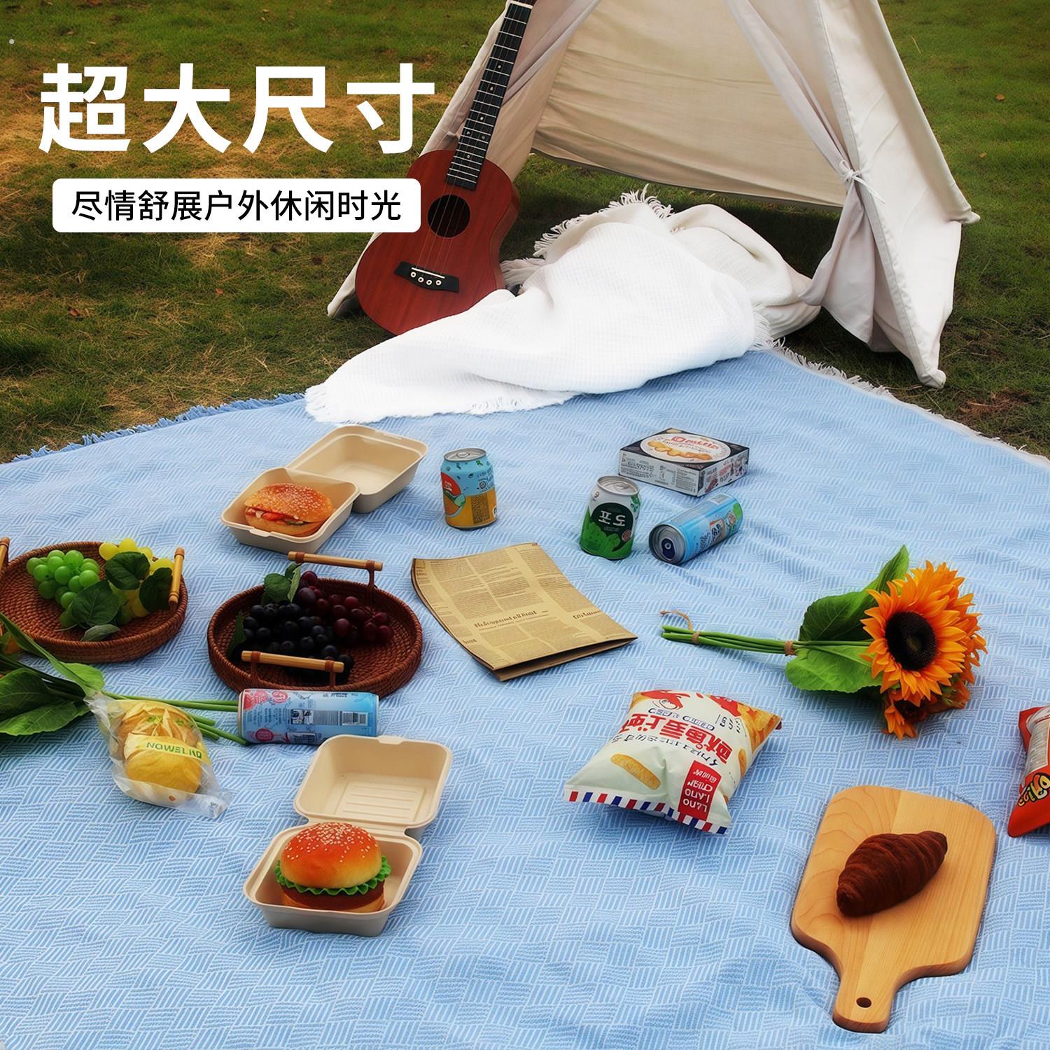 户外露营野餐垫便携沙滩垫防水防潮防沙野餐布加厚拍照道具风
