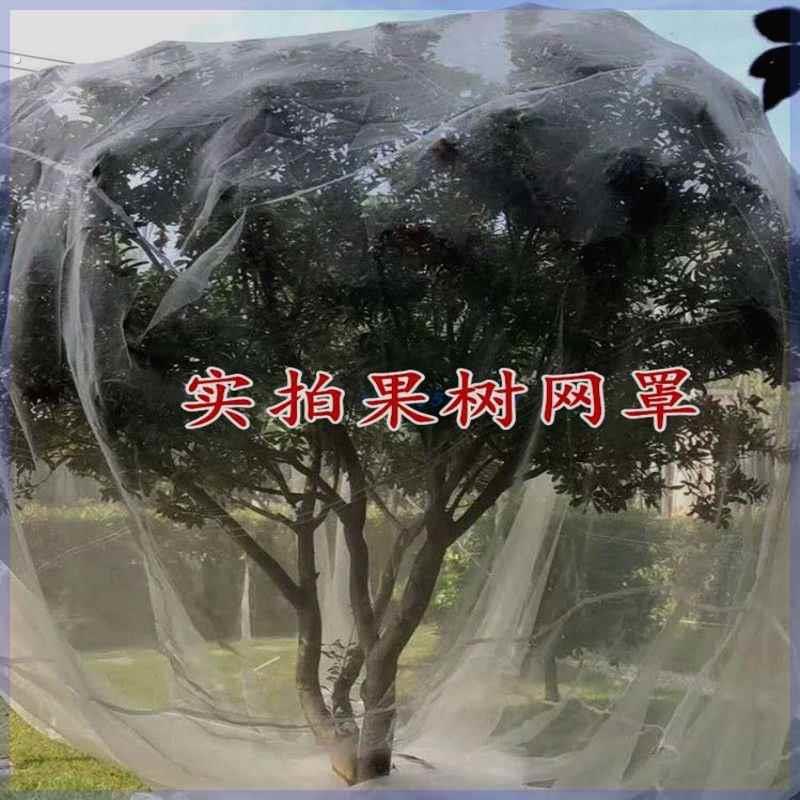 果树防虫网果园大棚杨梅樱桃网罩防虫防果蝇莲雾桃树蓝莓家用网套