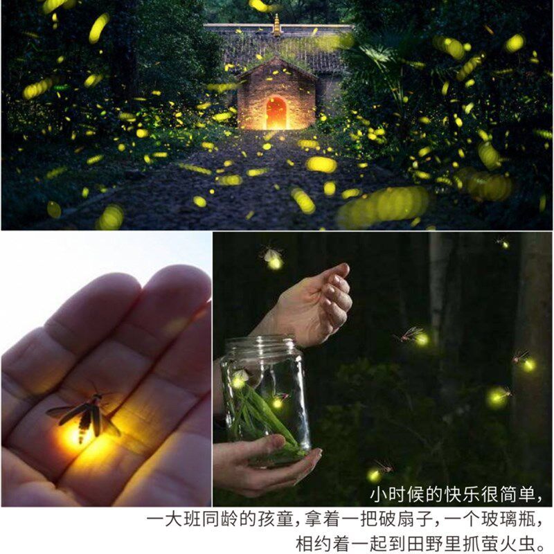 动态星空萤火虫投影灯射树叶满天星光激光灯草坪灯户外防水镭射灯