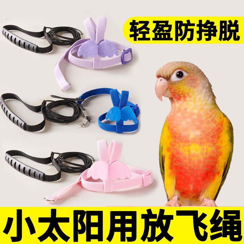 小太阳鹦专用鹉放飞绳遛鸟神器飞行抱婴袋小鸟外出绳子牵引绳炼子