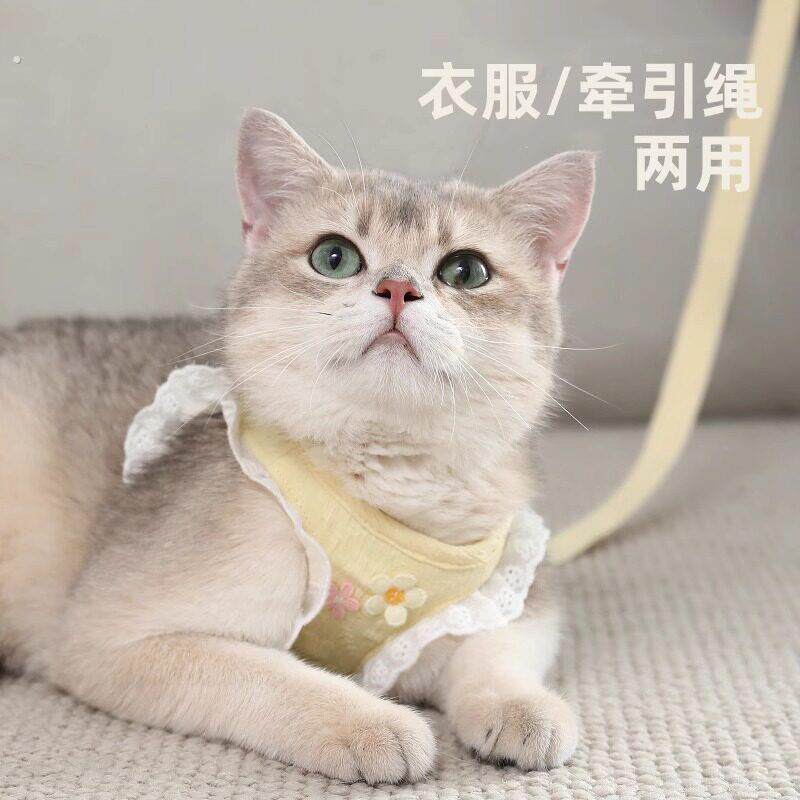 猫咪牵引绳防挣脱外出专用猫猫溜猫不勒脖小猫幼猫胸抱婴袋遛猫绳