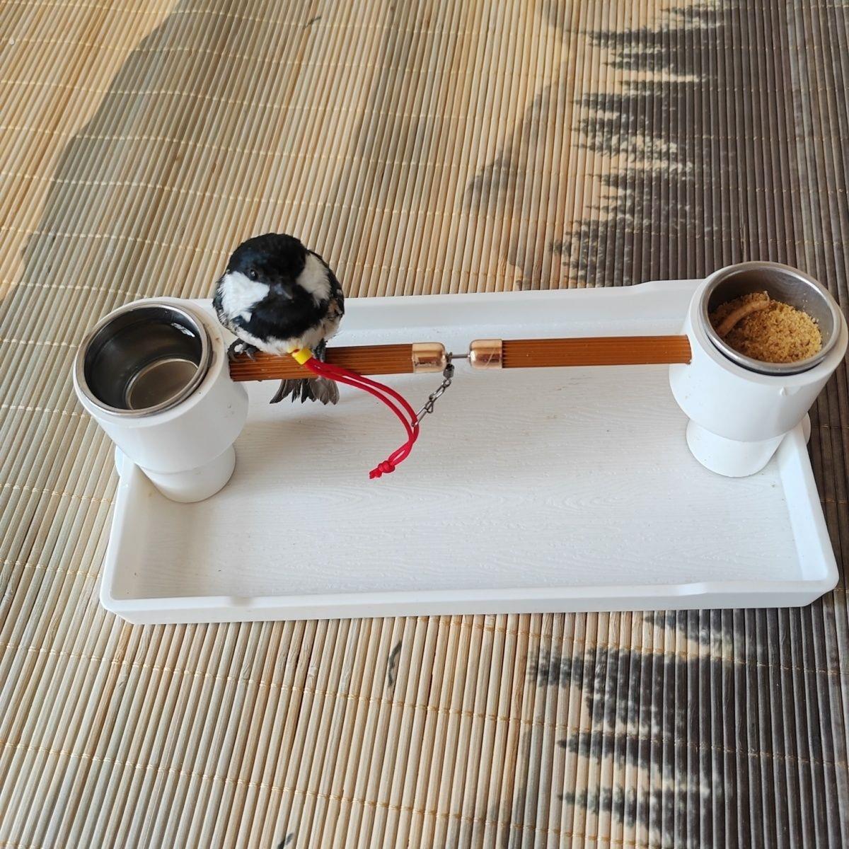 盘鸟神器、鸟站架做工精致(适合贝子黄雀绣眼柳莺山雀等)小鸟站架