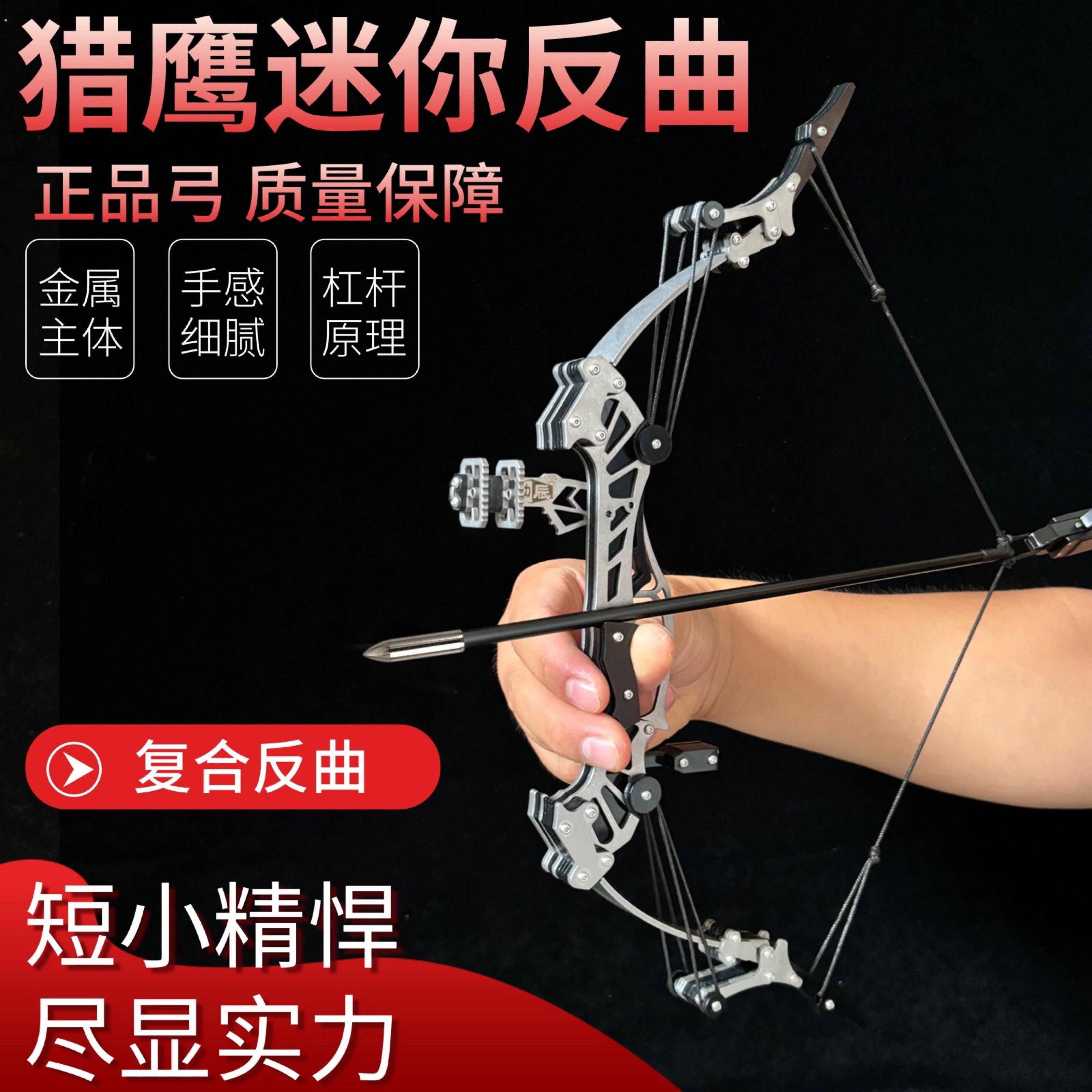 新款杠杆弓鹰弓不锈钢反曲弓弓箭射击箭馆射箭户外新手套装直拉弓