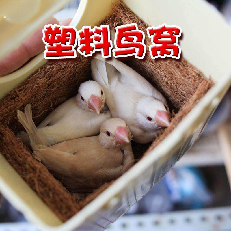塑料鸟窝外挂巢箱繁殖孵化窝珍珠文鸟十姐妹七彩文小型鸟繁盒窝盒