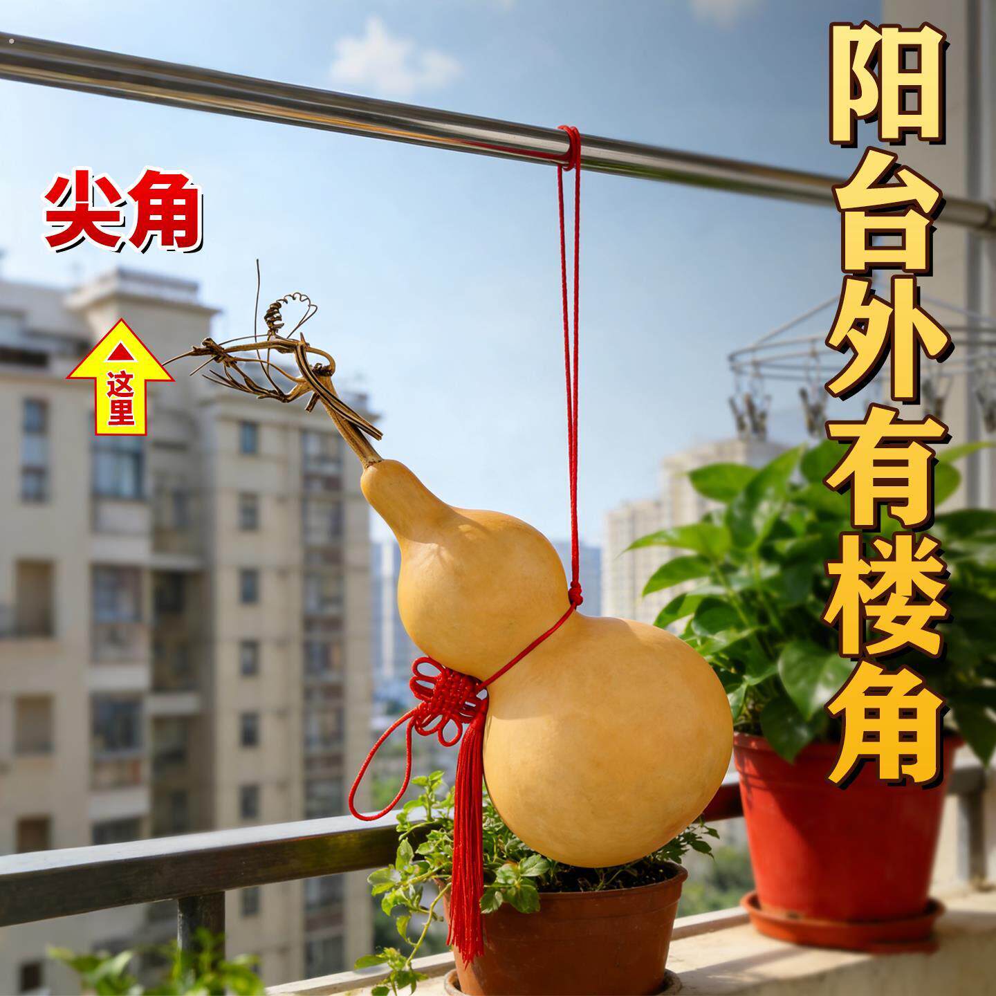 阳台摆放化解正对楼角天然葫芦形挂件开口门对门文玩八宝摆件大号