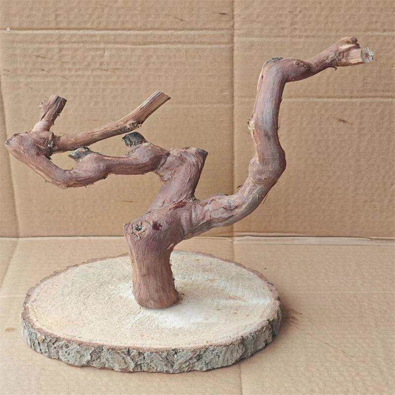 解闷鸟架小鸟站架原生态葡萄木树枝树干玄风小太阳鹦鹉枣木杆造景