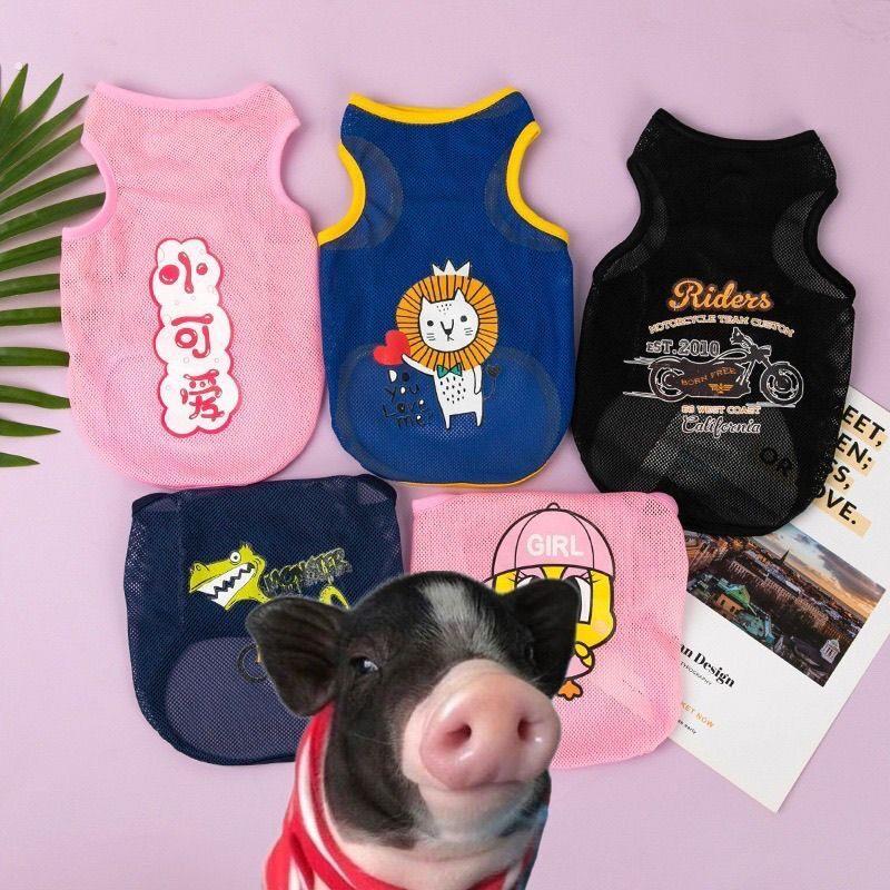 宠物猪衣服服饰用品夏天夏季薄款宠物小猪网红无袖萌宠异宠
