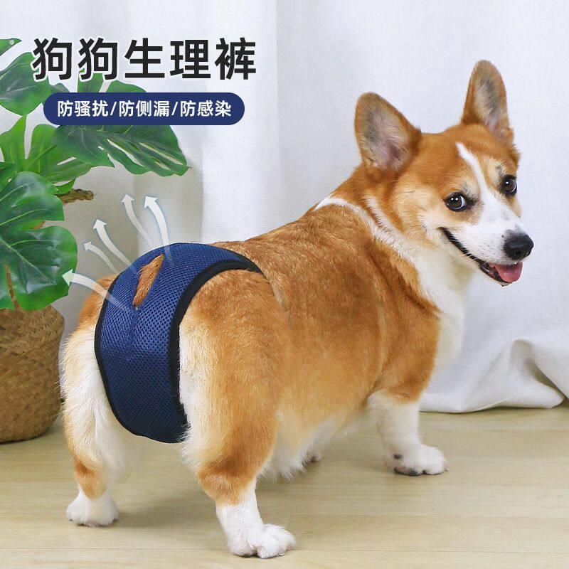 宠物狗狗生理裤经期姨妈安全裤母狗专用泰迪柯基防交配防骚扰神器