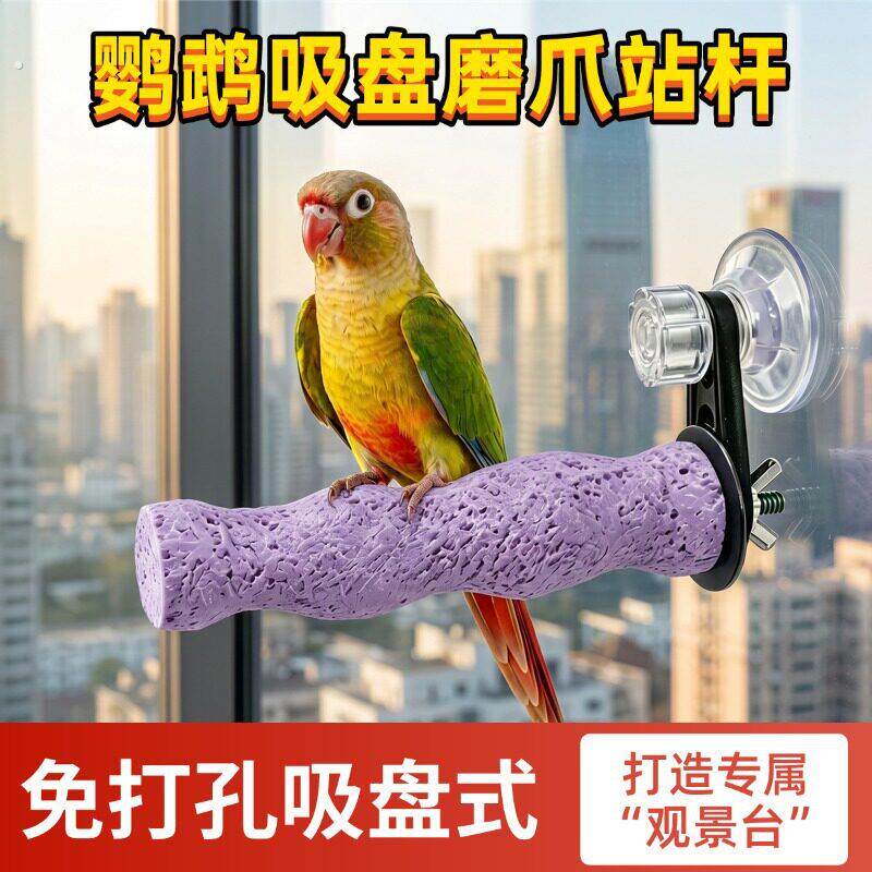 鹦鹉吸盘式树脂磨爪专用葫芦站棒虎皮牡丹趣味互动装饰鸟站台站架