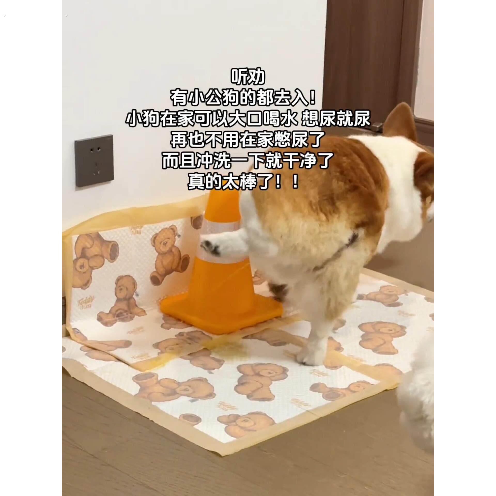 公狗尿尿立柱狗狗用厕所小型犬定点撒尿雪糕桶小狗引导防乱尿神器