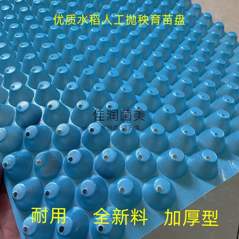 厂家直销水稻育秧盘手抛育苗盘308穴软盘好用白色优质抛秧盘