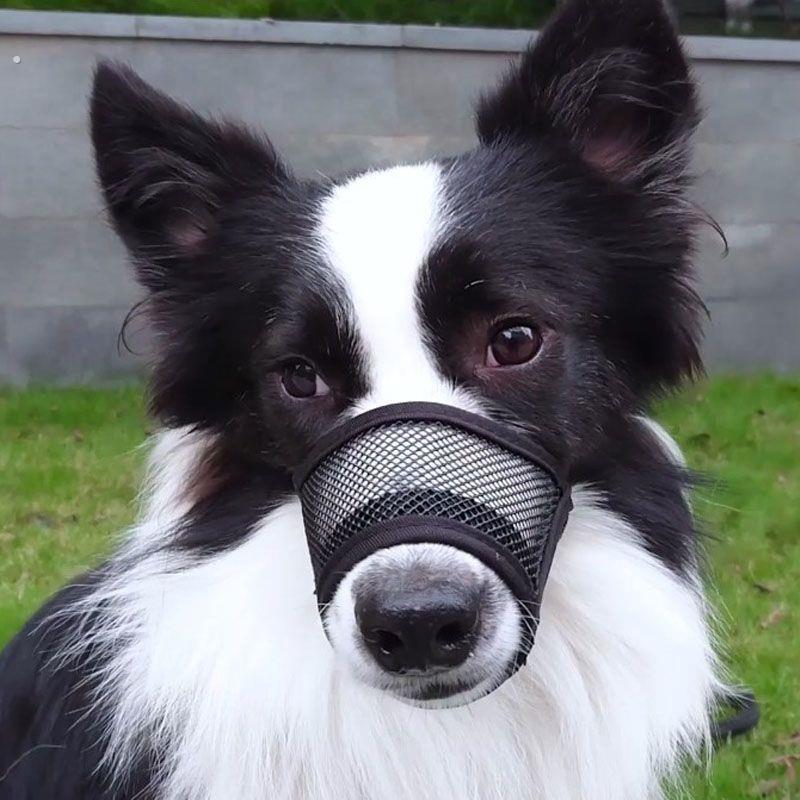边境牧羊犬狗嘴套防咬防吃透气狗嘴罩可调节可喝水宠物防叫大中小