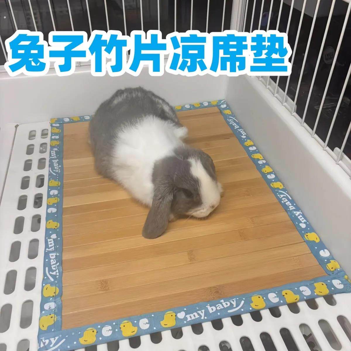兔子冰凉垫夏天降温消暑可拆洗竹席垫子龙猫荷兰猪小宠通用2026新