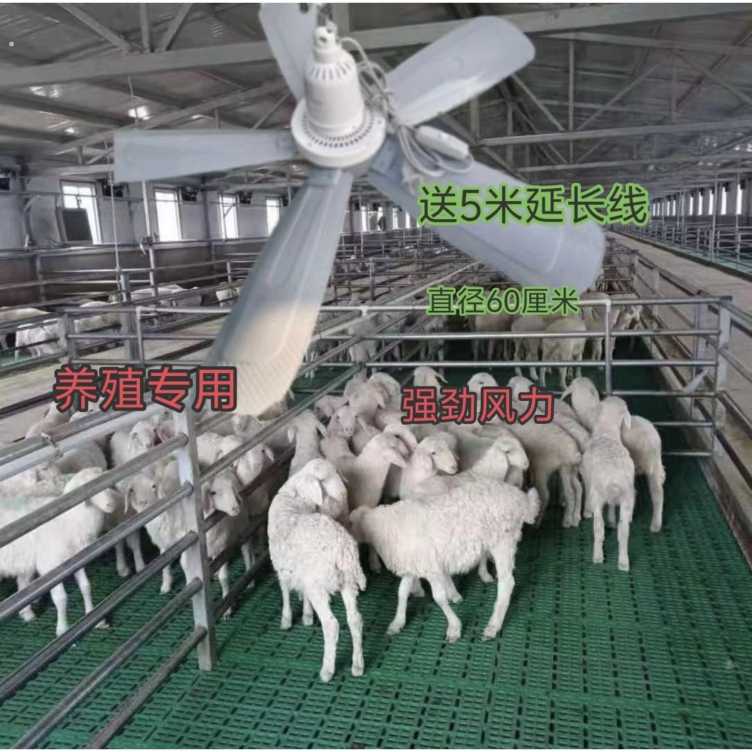 猪场专用吊扇风扇养殖猪舍羊圈猪用猪厂大冷风饲养电风扇猪解热神