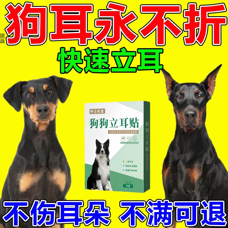 狗狗立耳神器杜宾西高地柯基专用立耳珠幼犬通用辅助竖耳朵固定器
