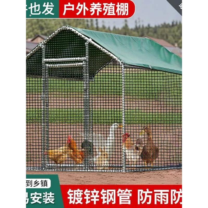 户外养殖鸡棚养鸡防雨大棚网笼鸡窝加粗搭建带顶家用耐用笼养专用