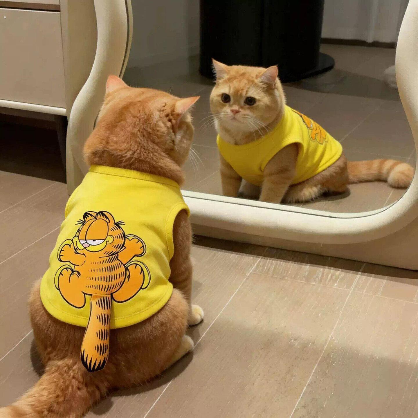 26夏季新款宠物猫咪狗狗衣服春季防掉毛可爱布偶猫德文小型犬背心
