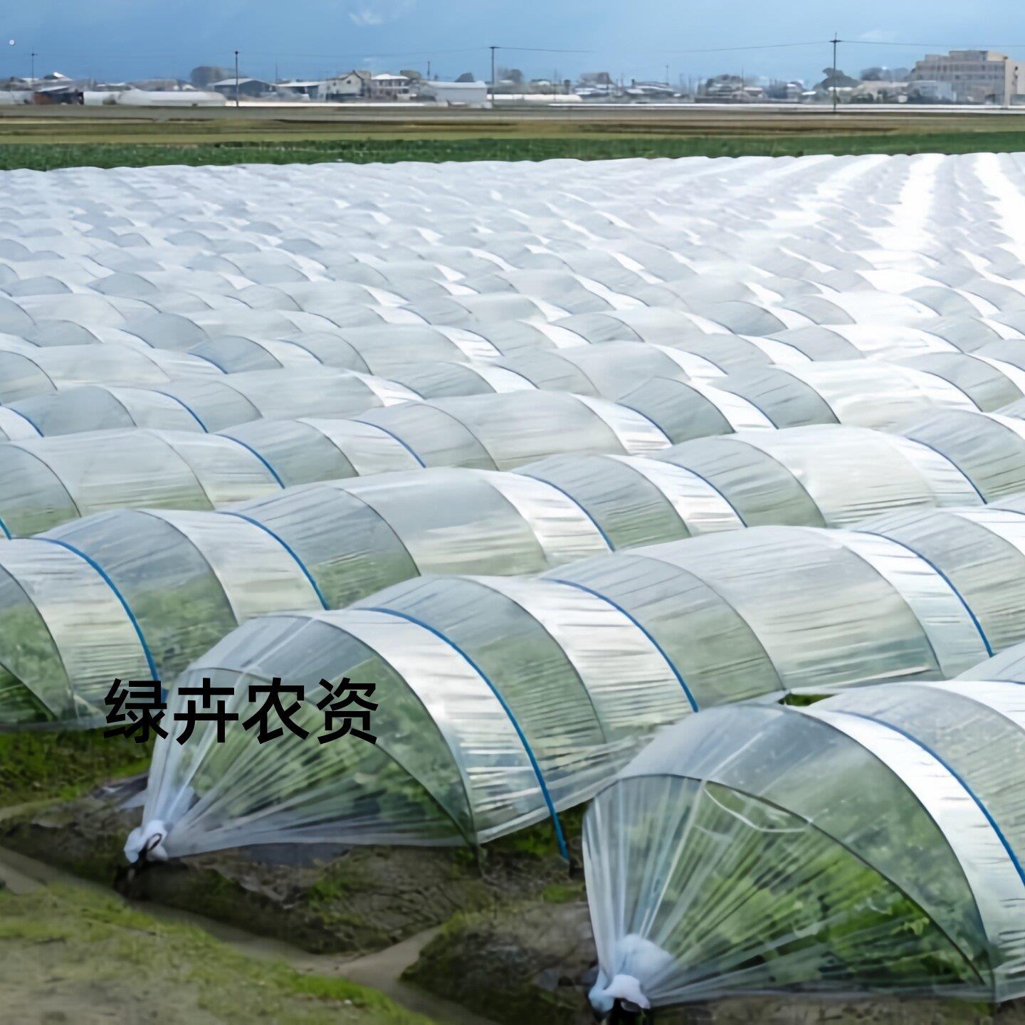 农用白色透明塑料薄膜种菜小拱棚专用膜保温防寒地膜育苗大棚二膜