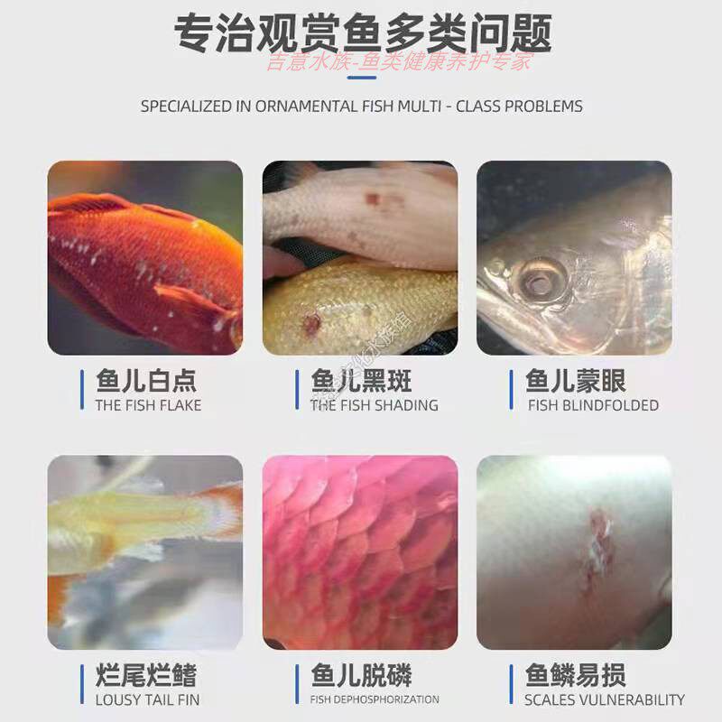 鱼缸硝化细菌水族箱消化菌水质稳定净水除藻剂养鱼用品锦鲤龙鱼药