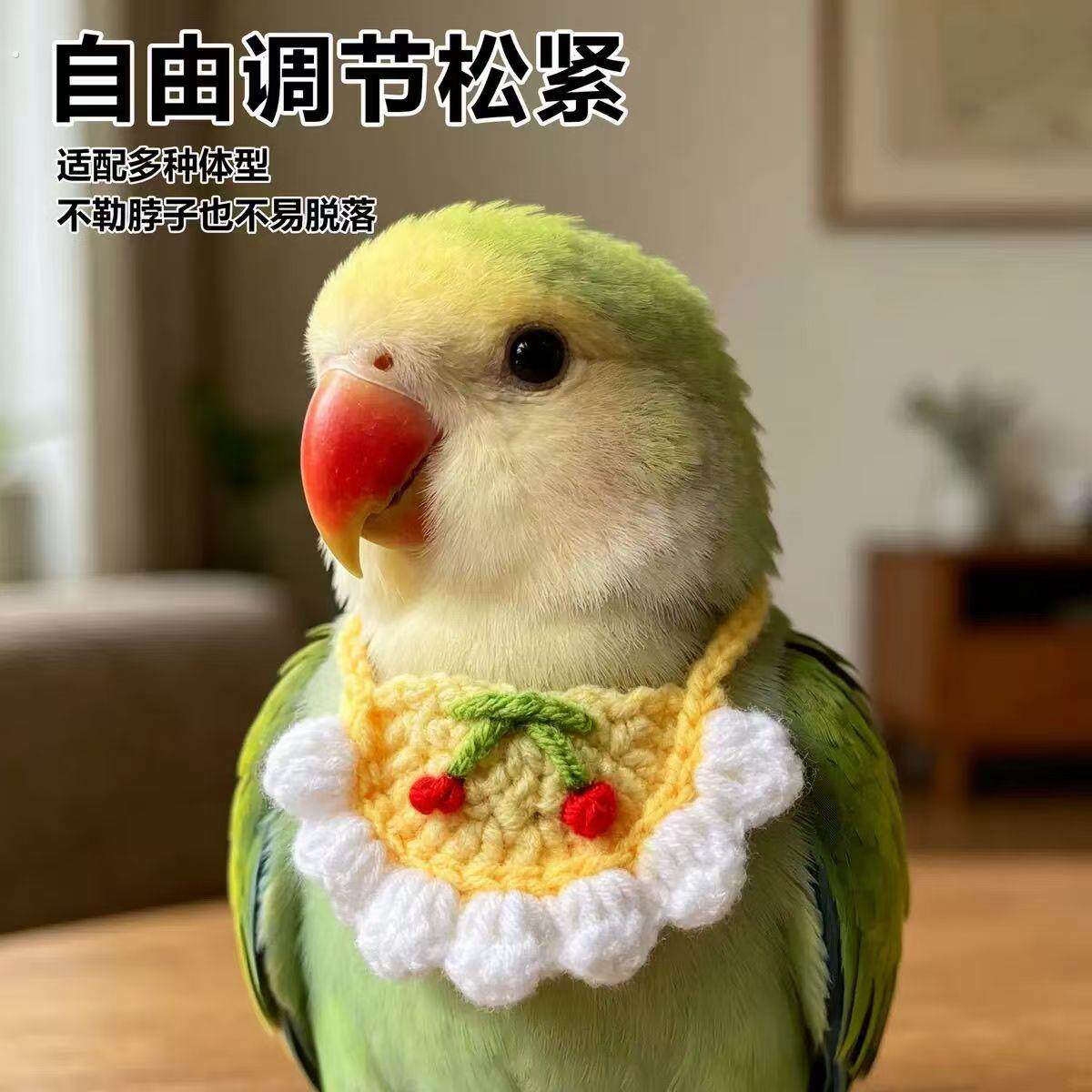 小型宠物衣服鹦鹉口水巾虎皮玄凤围兜可爱针织佩戴装扮拍照道具