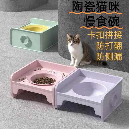 陶瓷猫碗大口径防黑下巴方块猫碗架增高餐桌小狗碗宠物粮碗水碗