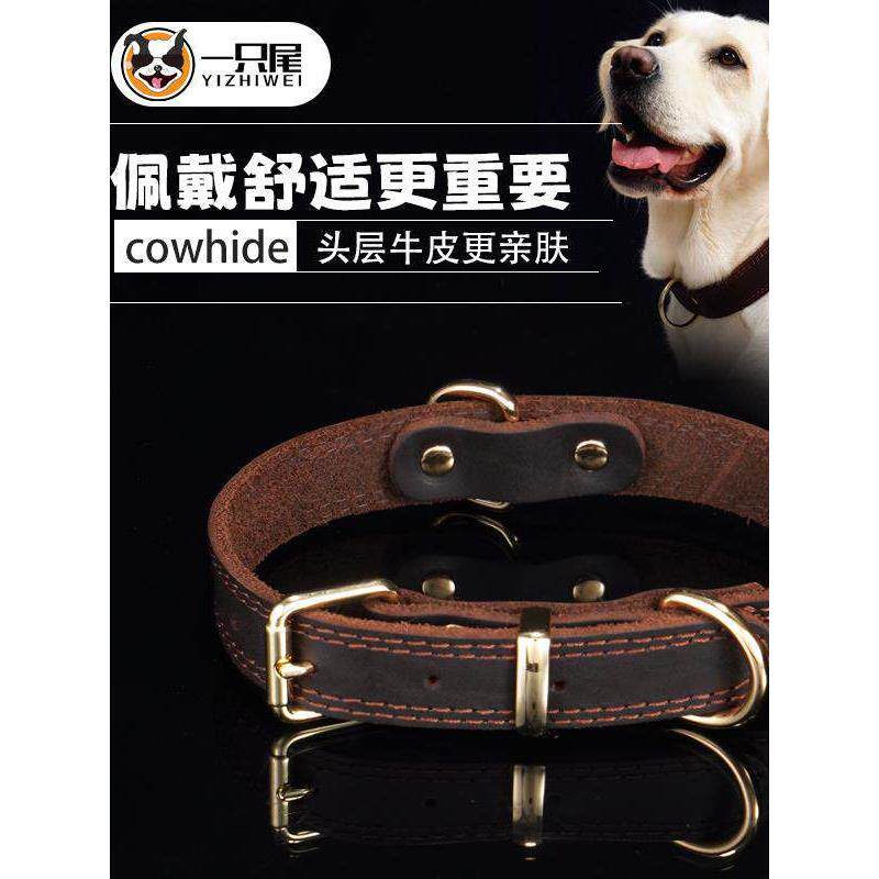 真皮狗项圈防丢失狗牌小型犬,中型犬和大型犬拉布拉多犬泰迪牛皮