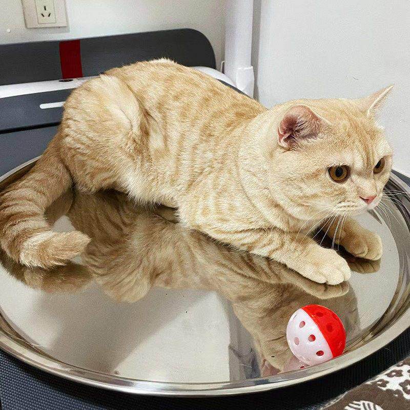 304不锈钢盘子圆盘家用大号宠物猫咪凉垫子睡觉的窝夏日解暑神器