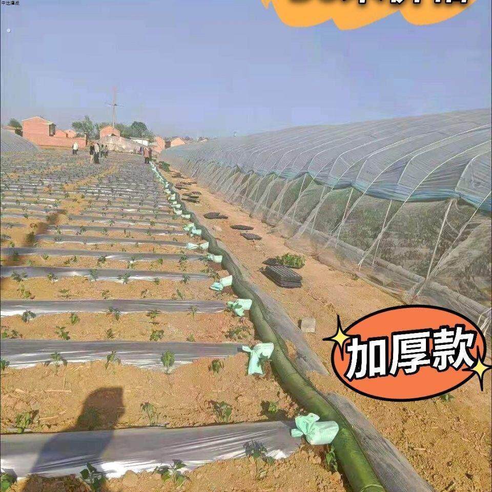 浇地神器新型直销灌溉神器带袖布水带加厚浇地垄沟(30米价格)