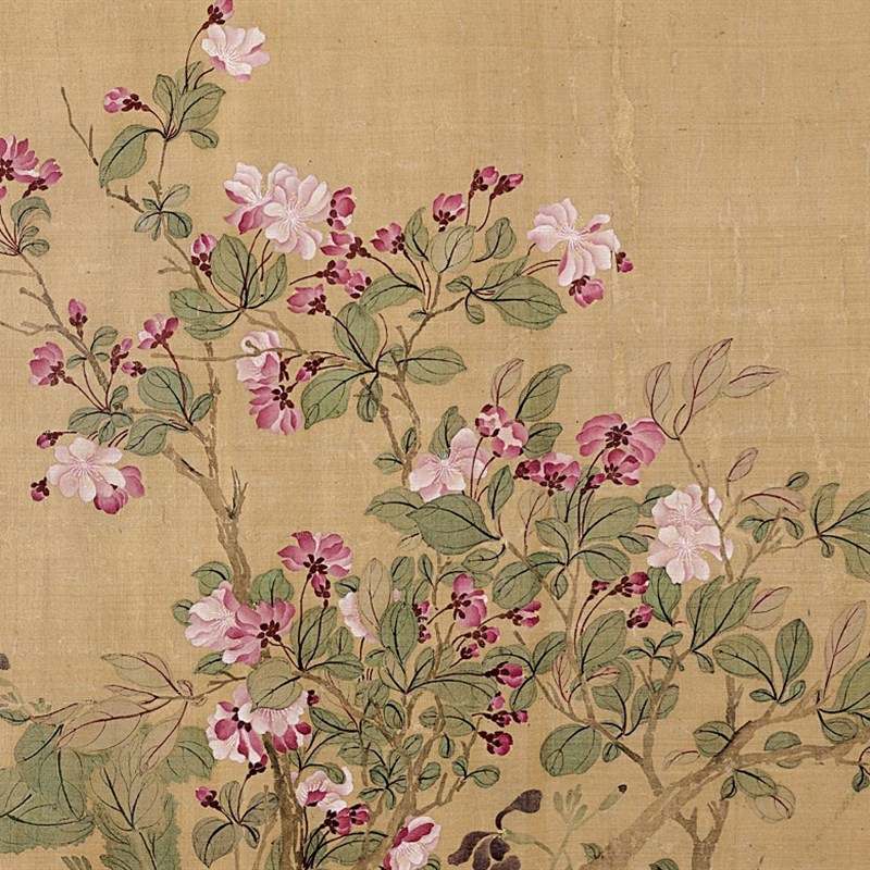 清 恽寿平 百花图卷大都会博物馆藏没骨画法花卉工笔临摹学习画稿