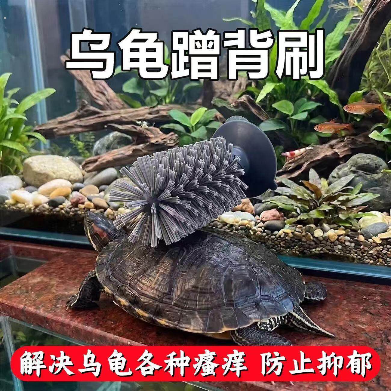 乌龟刷背刷刷背吸盘式洗碗刷洗澡蹭背刷子爬宠多功能清洁刷子