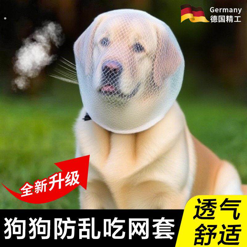 狗狗防误食头纱防止狗狗乱吃东西狗狗嘴套防咬乱吃嘴罩防舔网套小