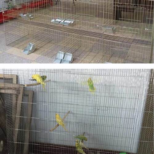 特粗镀锌钢丝网防鼠防锈鸟笼鸡鸭兔笼阳台养殖防护铁丝网围栏网格