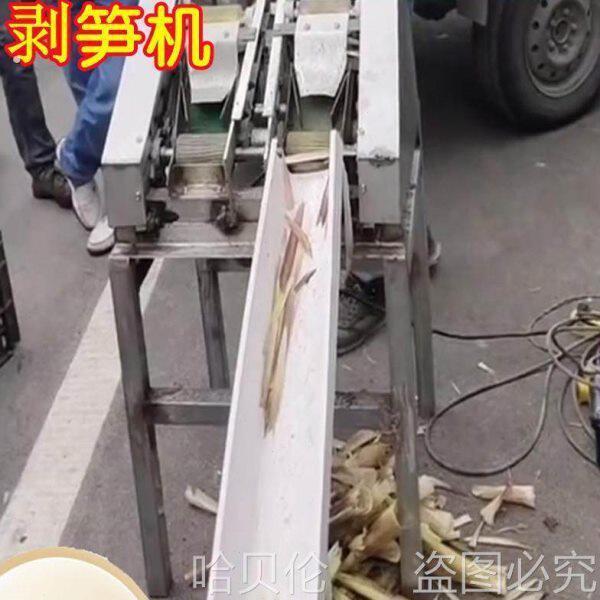 剥笋机半自动单双行小型竹笋脱去皮壳机农用电动春笋扒壳器剥损机图片