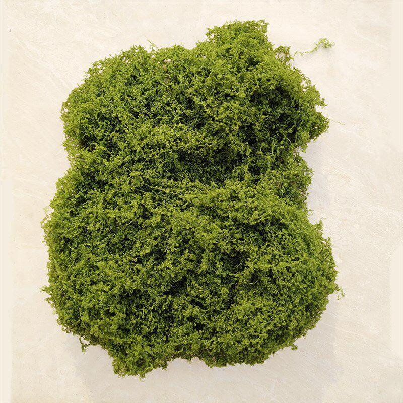 可手撕软丝仿真苔藓青苔草皮草坪装饰森系造景微景观材料假绿植被