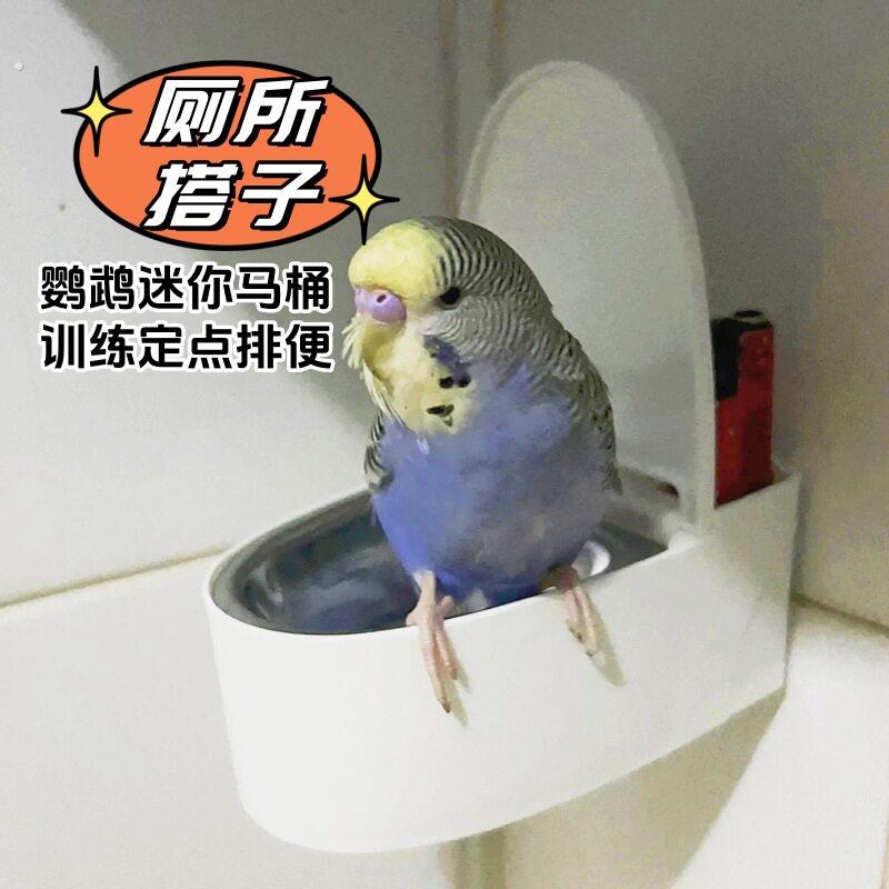 鹦鹉璧挂式马桶小鸡玄风牡丹厕所塑料内胆可拆卸冲洗便池定点排便