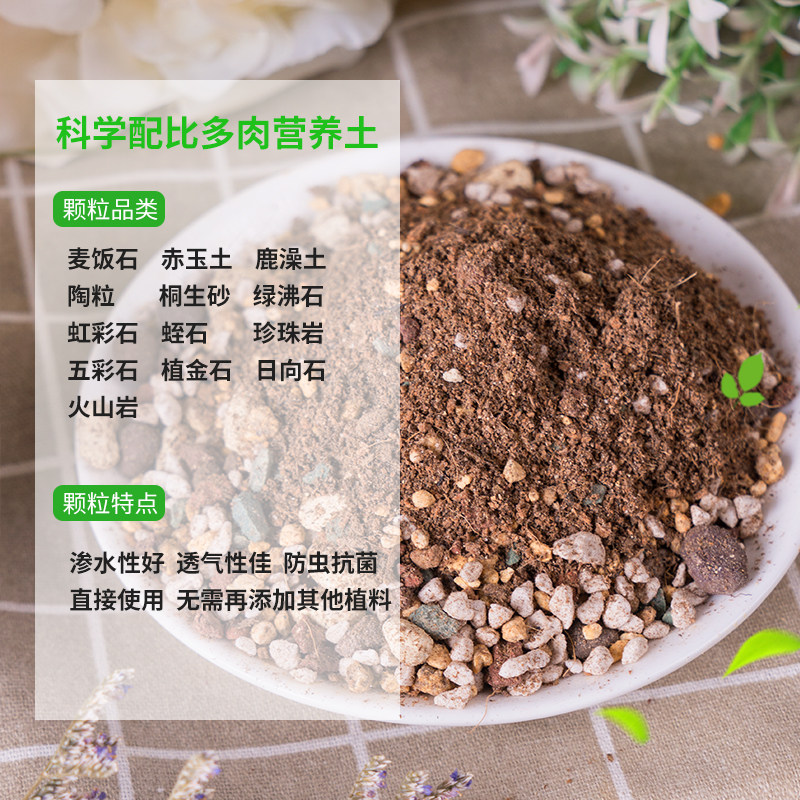 多肉植物营养土铺面石大包赤玉土麦饭石火山石多肉颗粒土5斤包邮