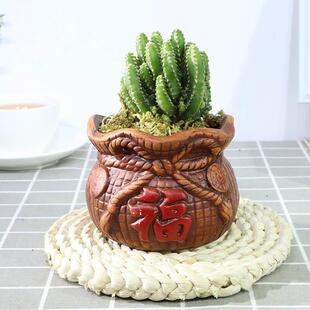 万重山仙人掌多肉植物花卉绿植盆栽阳台四季好养易活绿植仙人球