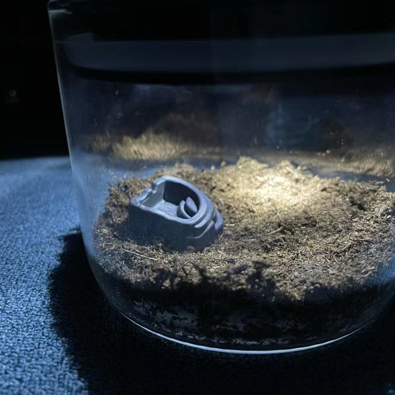 跳蛛盒蝈蝈笼子油葫芦蛐蛐电报蛉盒子竹蛉蝎子蜈蚣蜘蛛盒鸣虫叫罐